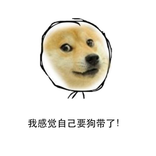 2016網(wǎng)絡(luò)流行語第十名：狗帶（火爆指數(shù)：★★）