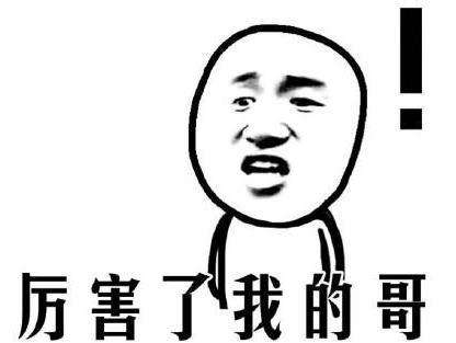 2016網(wǎng)絡(luò)流行語第二名：厲害了我的哥 （火爆指數(shù)：★★★★★） 