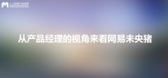 從產品經理的視角來看網易未央豬