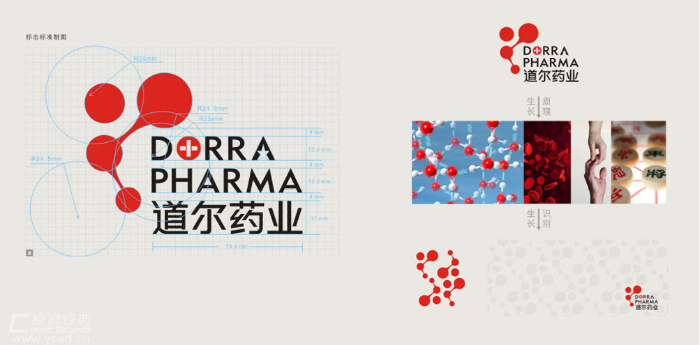 道爾醫藥掛歷設計