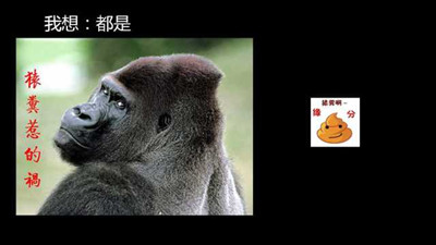 原創活動
