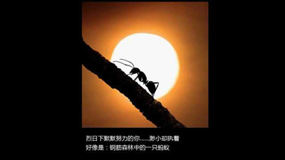 原創活動